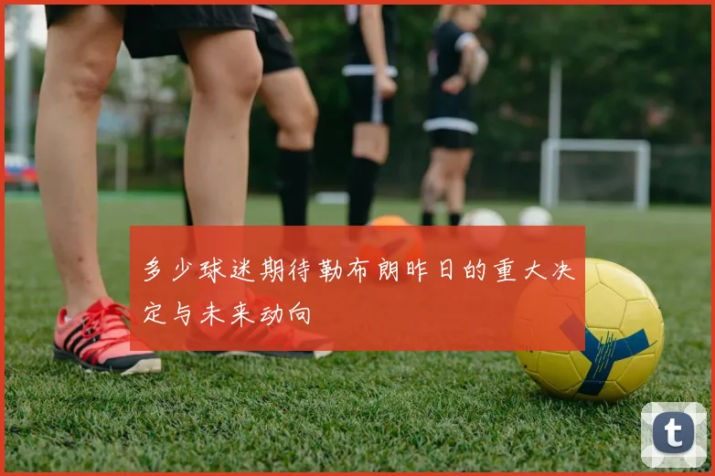多少球迷期待勒布朗昨日的重大决定与未来动向