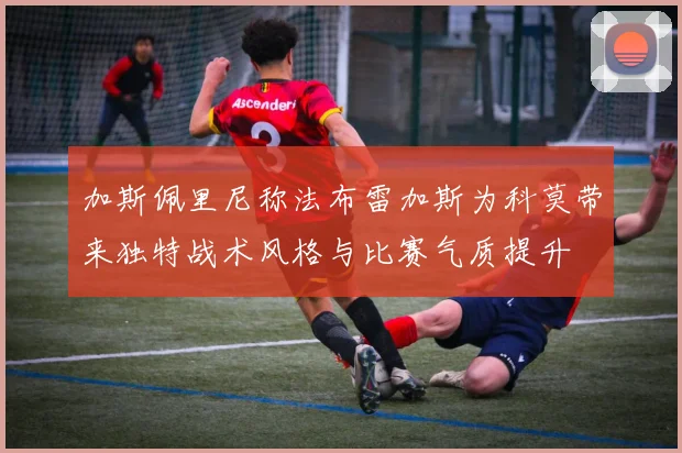 加斯佩里尼称法布雷加斯为科莫带来独特战术风格与比赛气质提升